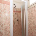Alfa Bicocca Daire
